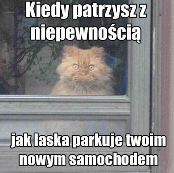 Kiedy patrzysz z niepewnością jak laska parkuje twoim nowym