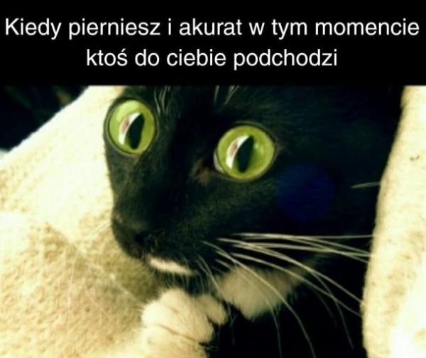 Kiedy pierdniesz i akurat w tym momencie ktoś do Ciebie