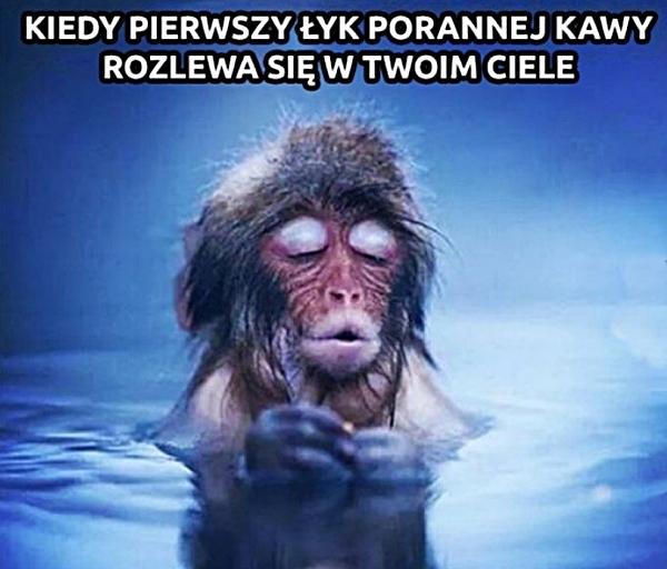 Kiedy pierwszy łyk porannej kawy rozlewa się po twoim ciele