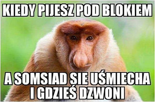 Kiedy pijesz pod blokiem, a somsiad się uśmiecha i gdzieś