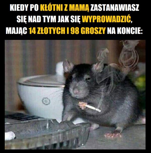 Kiedy po kłótni z mamą zastanawiasz się na tym jak się