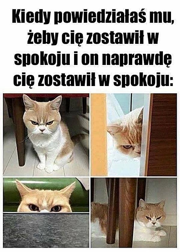 Kiedy powiedziała mu żeby zostawił cię w spokoju i on