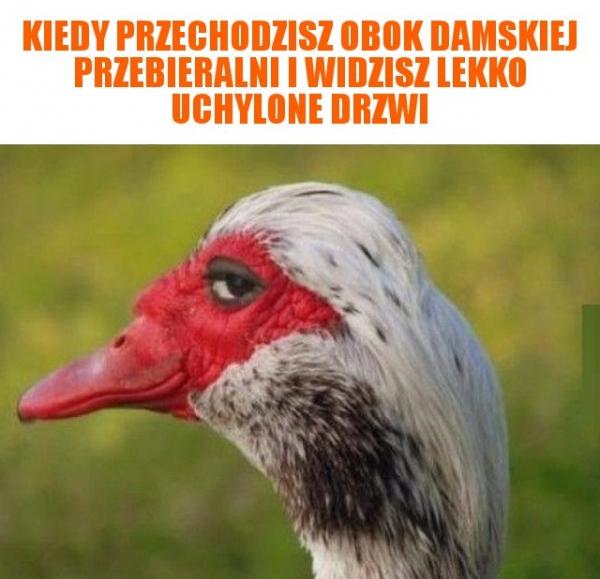 Kiedy przechodzisz obok damskiej przebieralni i widzisz