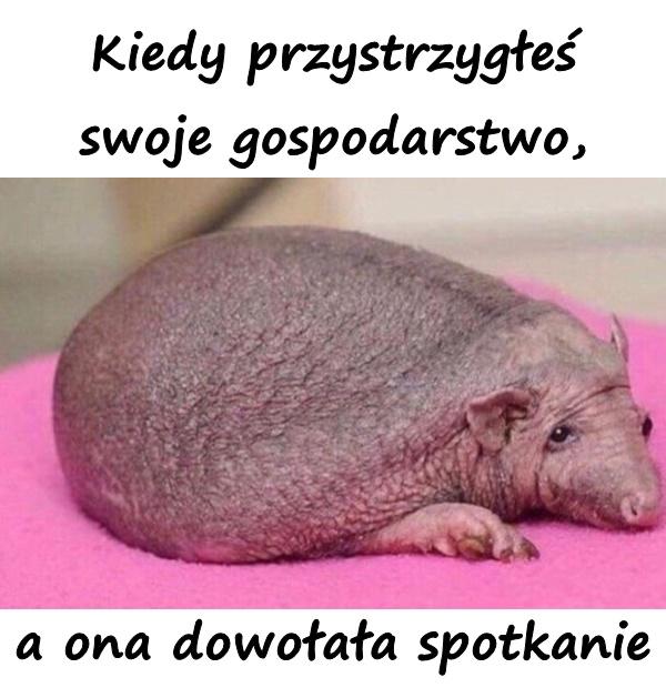 Kiedy przystrzygłeś swoje gospodarstwo, a ona dowołała