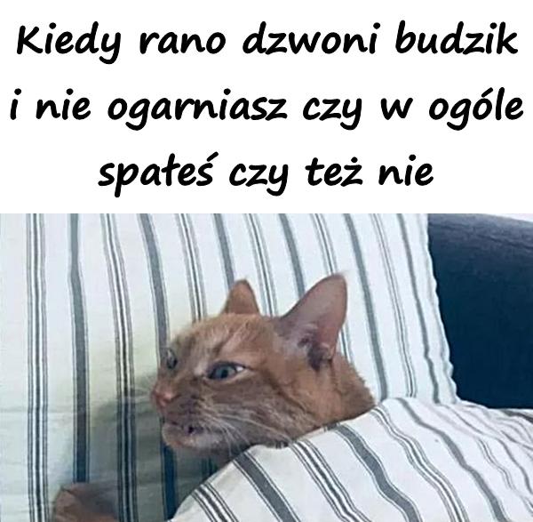 Kiedy rano dzwoni budzik i nie ogarniasz czy w ogóle spałeś