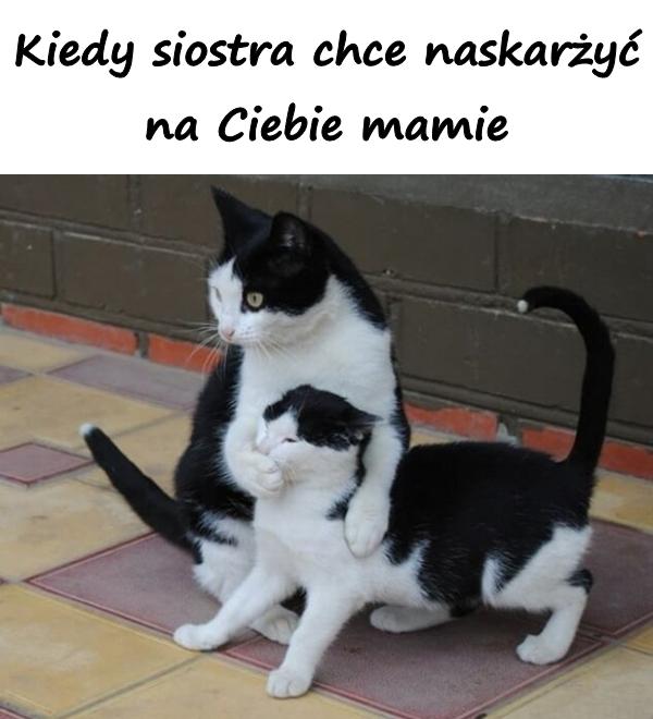 Kiedy siostra chce naskarżyć na Ciebie mamie