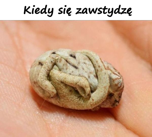 Kiedy się zawstydzę