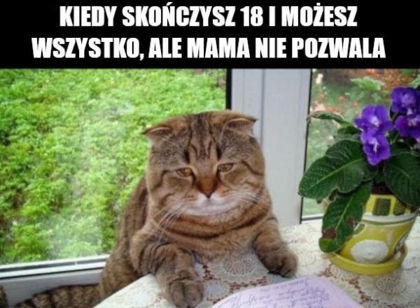 Kiedy skończysz 18 lat i możesz wszystko, ale mama nie