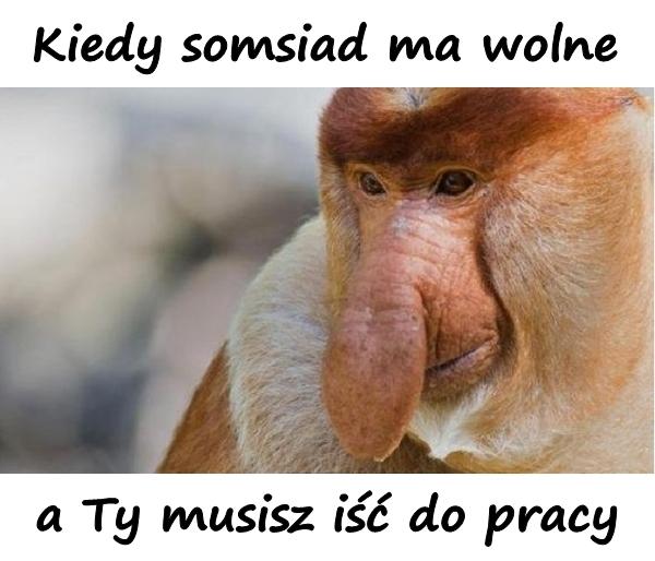 Kiedy somsiad ma wolne, a Ty musisz iść do pracy