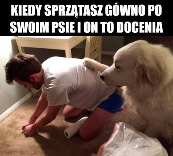 Kiedy sprzątasz gówno po swoim psie i on to docenia