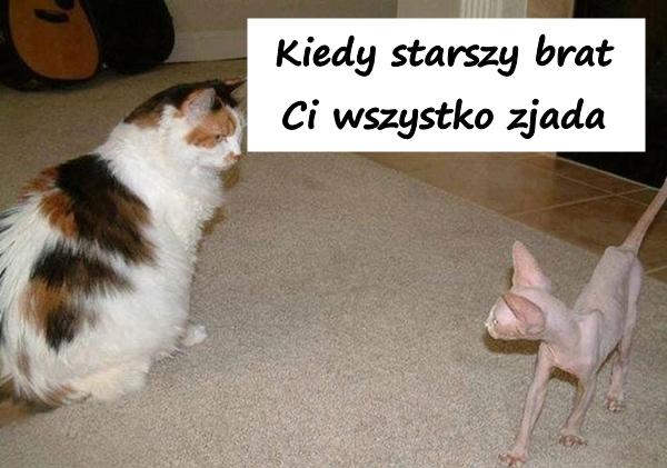 Kiedy starszy brat Ci wszystko zjada