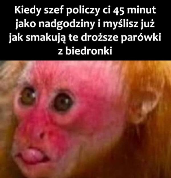 Kiedy szef policzy Ci 45 minut jako nadgodziny i myślisz