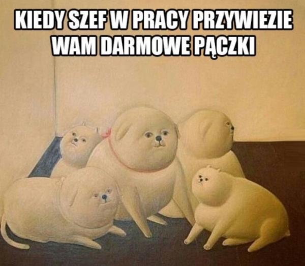 Kiedy szef w pracy przywiezie wam darmowe pączki