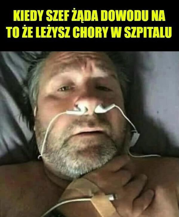 Kiedy szef żąda dowodu na to że leżysz chory w szpitalu