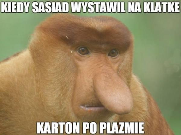 Kiedy sąsiad wystawił na klatkę karton po plazmie