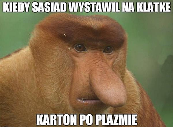 Kiedy sąsiad wystawił na klatkę karton po plazmie