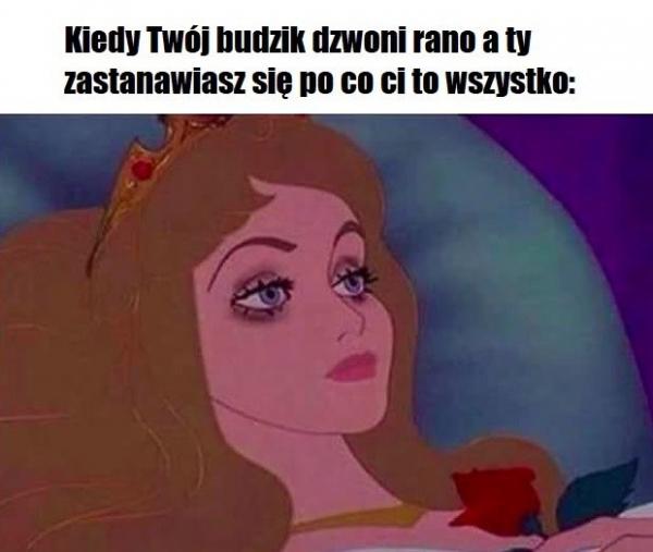 Kiedy Twój budzik dzwoni rano, a Ty zastanawiasz się po co