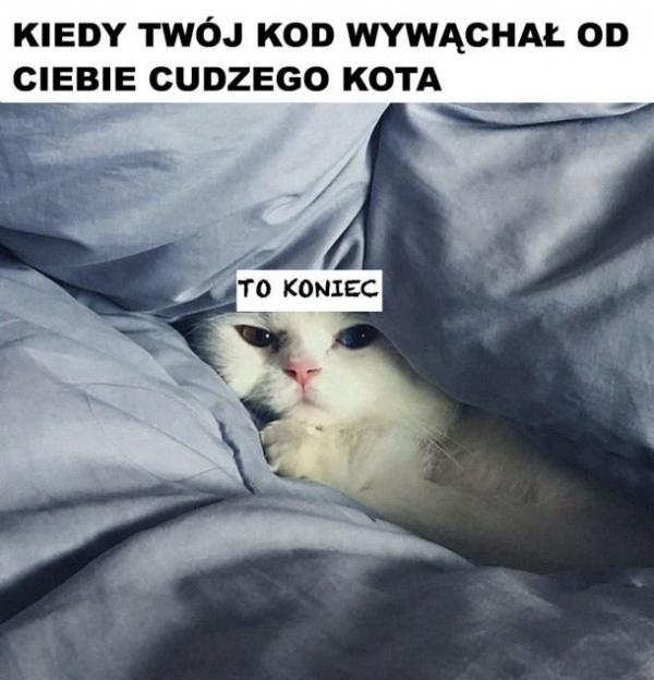 Kiedy Twój kot wywąchał od Ciebie cudzego kota