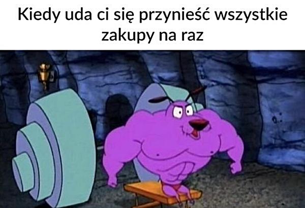 Kiedy uda ci się przynieś wszystkie zakupy na raz