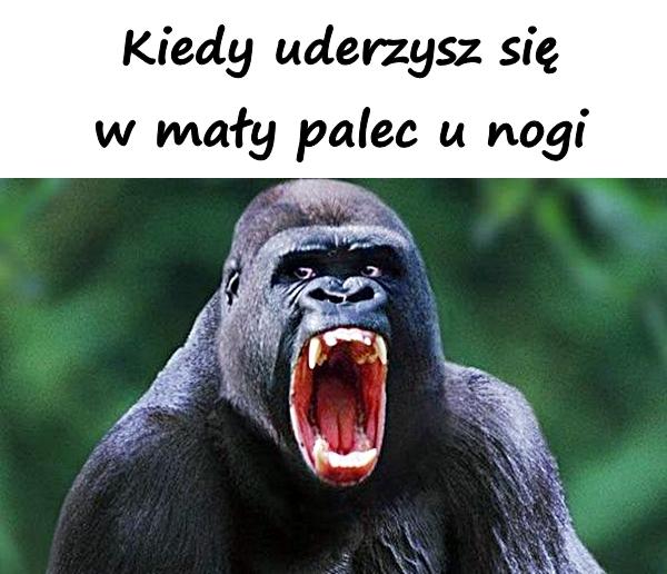 Kiedy uderzysz się w mały palec u nogi