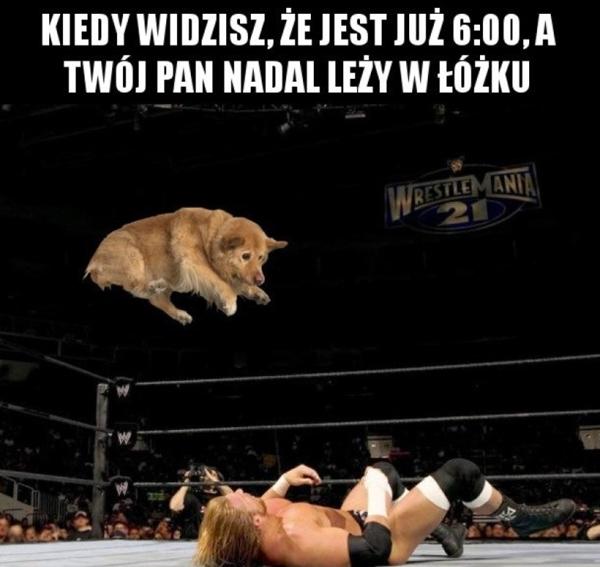 Kiedy widzisz, że jest już 6:00, a Twój Pan nadal leży w