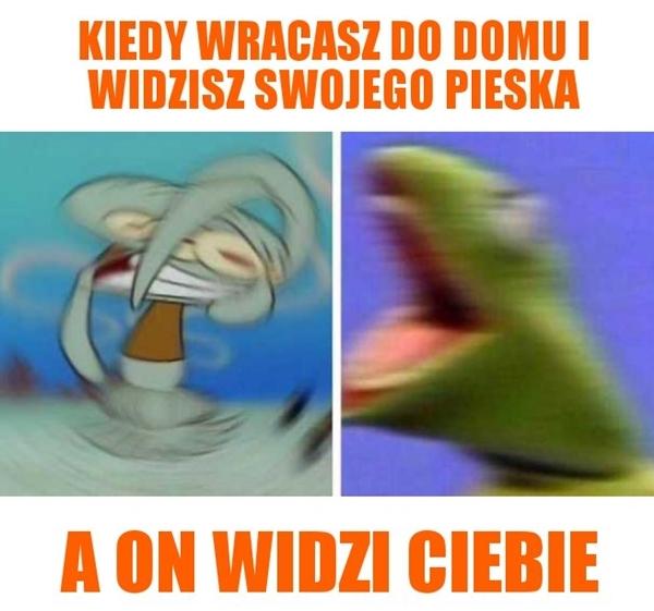 Kiedy wracasz do domu i widzisz swojego pieska a on widzi