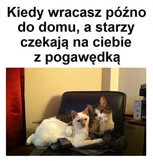 Kiedy wracasz późno do domu, a starzy czekają na ciebie z