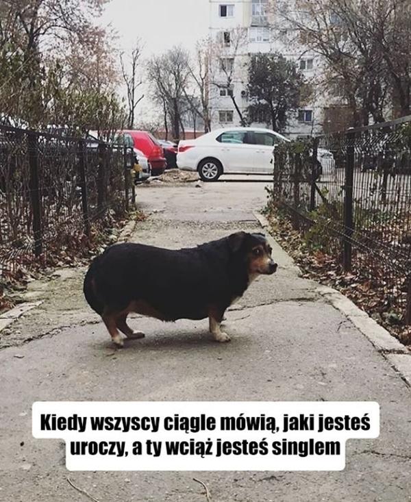 Kiedy wszyscy ciągle mówią jaki jesteś uroczy, a ty wciąż