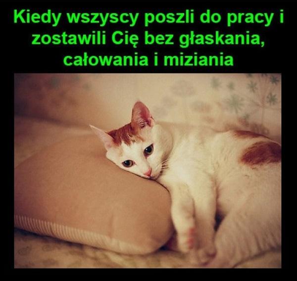 Kiedy wszyscy poszli do pracy i zostawili cię bez