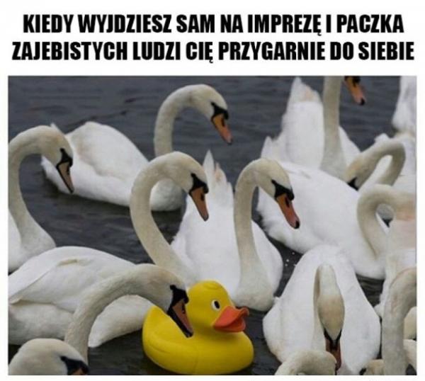 Kiedy wyjdziesz sam na imprezę i paczka zajebistych ludzi