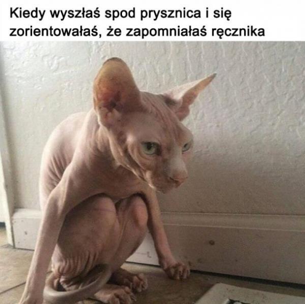 Kiedy wyszłaś spod prysznica i się zorientowałaś, że nie