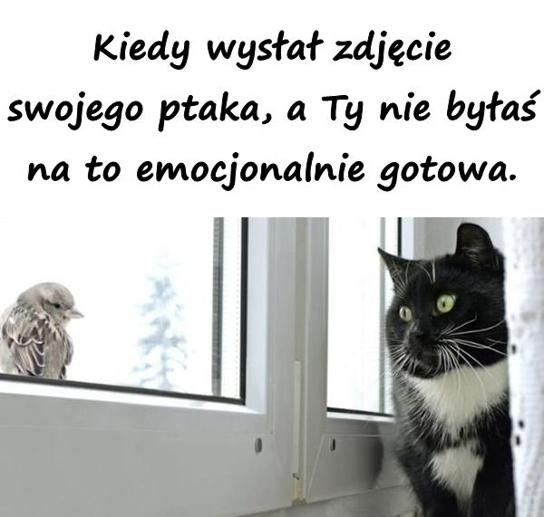 Kiedy wysłał zdjęcie swojego ptaka, a Ty nie byłaś na to