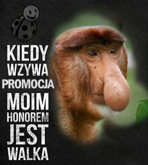 Kiedy wzywa promocja moim honorem jest walka