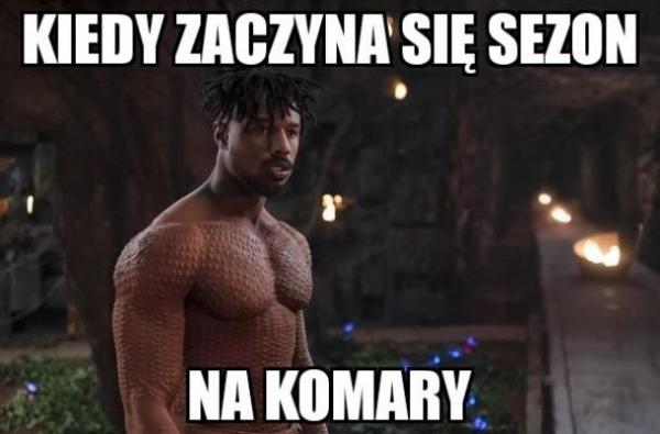 Kiedy zaczyna się sezon na komary