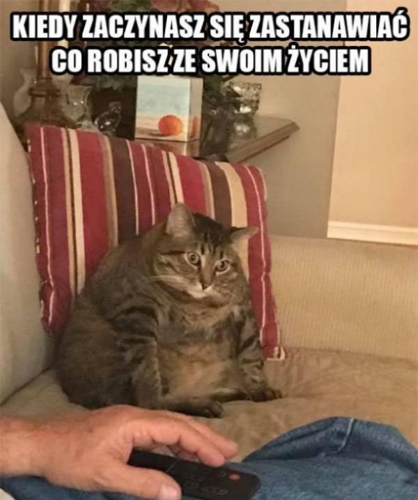 Kiedy zaczynasz się zastanawiać co robisz ze swoim życiem