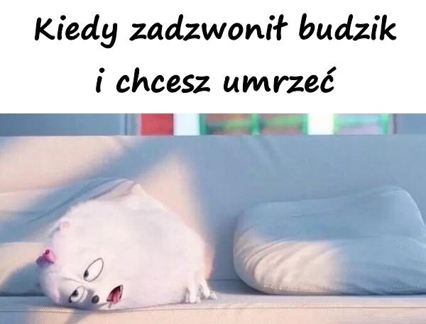 Kiedy zadzwonił budzik i chcesz umrzeć