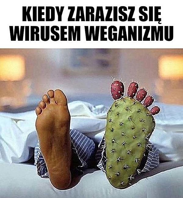 Kiedy zarazisz się wirusem weganizmu