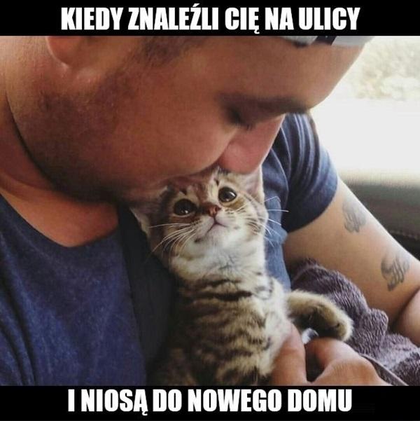 Kiedy znaleźli cię na ulicy i niosą do nowego domu