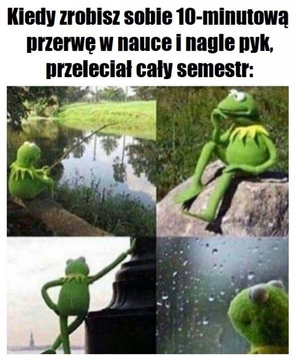 Kiedy zrobisz sobie 10-minutową przerwę w nauce i nagle