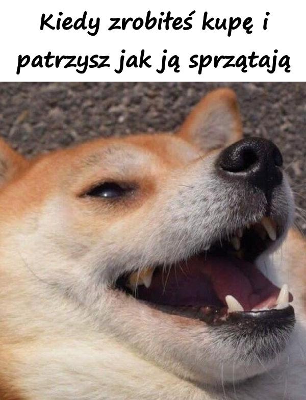 Kiedy zrobiłeś kupę i patrzysz jak ją sprzątają