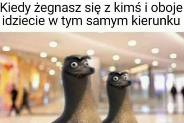 Kiedy żegnasz się z kimś i oboje idziecie w tym samym