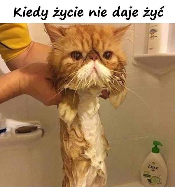 Kiedy życie nie daje żyć