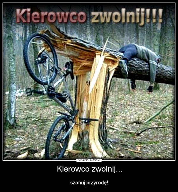 Kierowco zwolnij... szanuj przyrodę