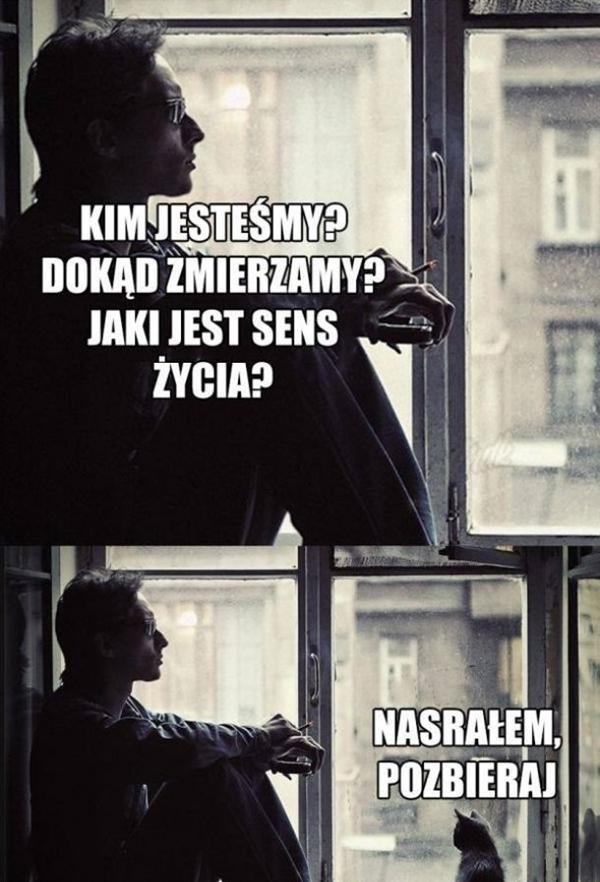 Kim jesteśmy? Dokąd zmierzamy? Jaki jest sens życia? Kot