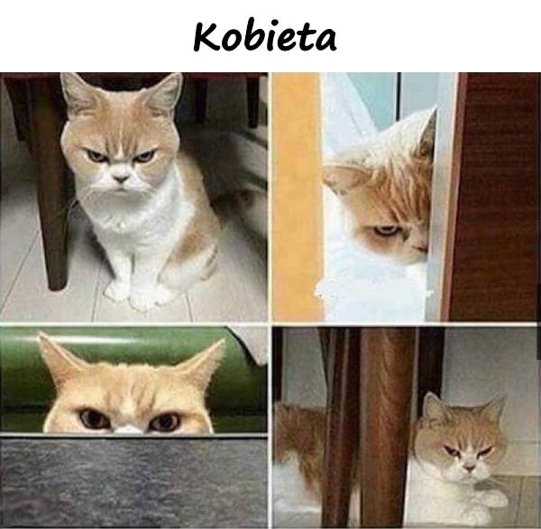 Kobieta