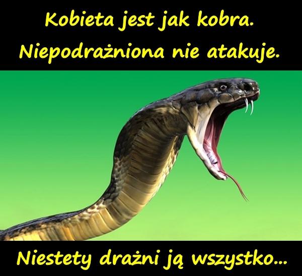 Kobieta jest jak kobra. Niepodrażniona nie atakuje