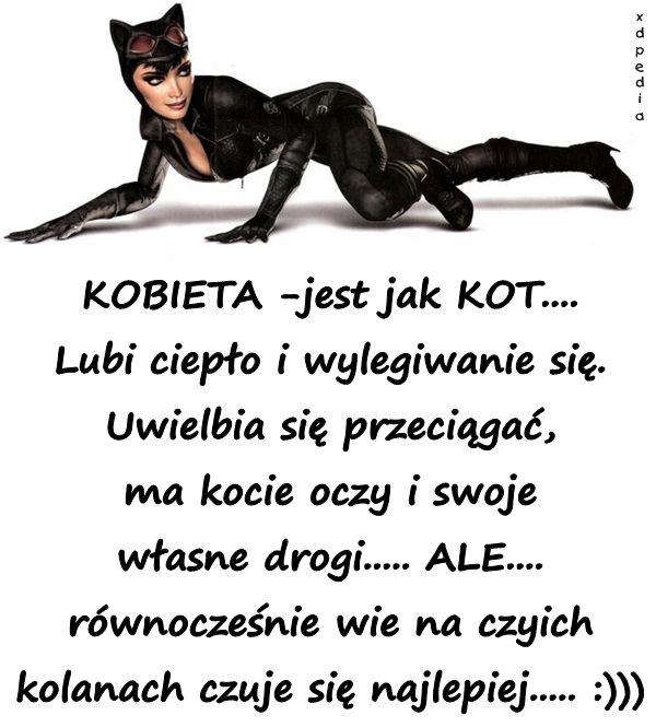 KOBIETA -jest jak KOT.... Lubi ciepło i wylegiwanie się