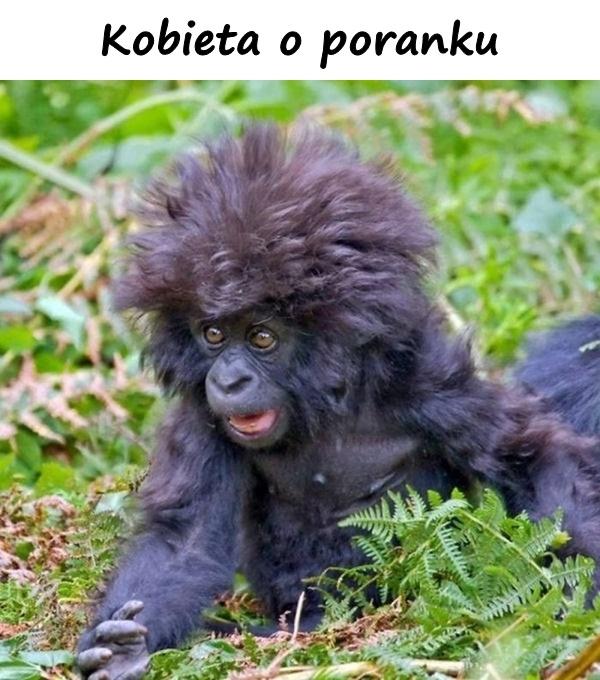 Kobieta o poranku