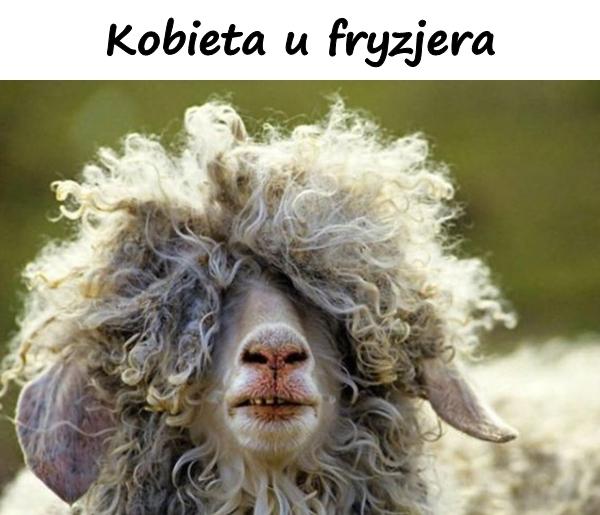 Kobieta u fryzjera