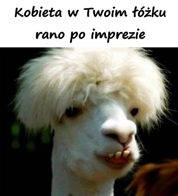 Kobieta w Twoim łóżku rano po imprezie